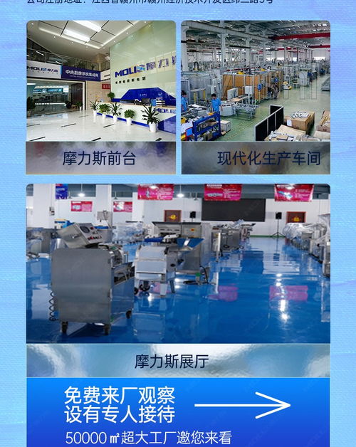 食品工廠蘿卜加工流水線 果蔬加工成套設(shè)備